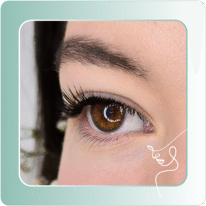 Ripsienpidennysten peruskoulutus